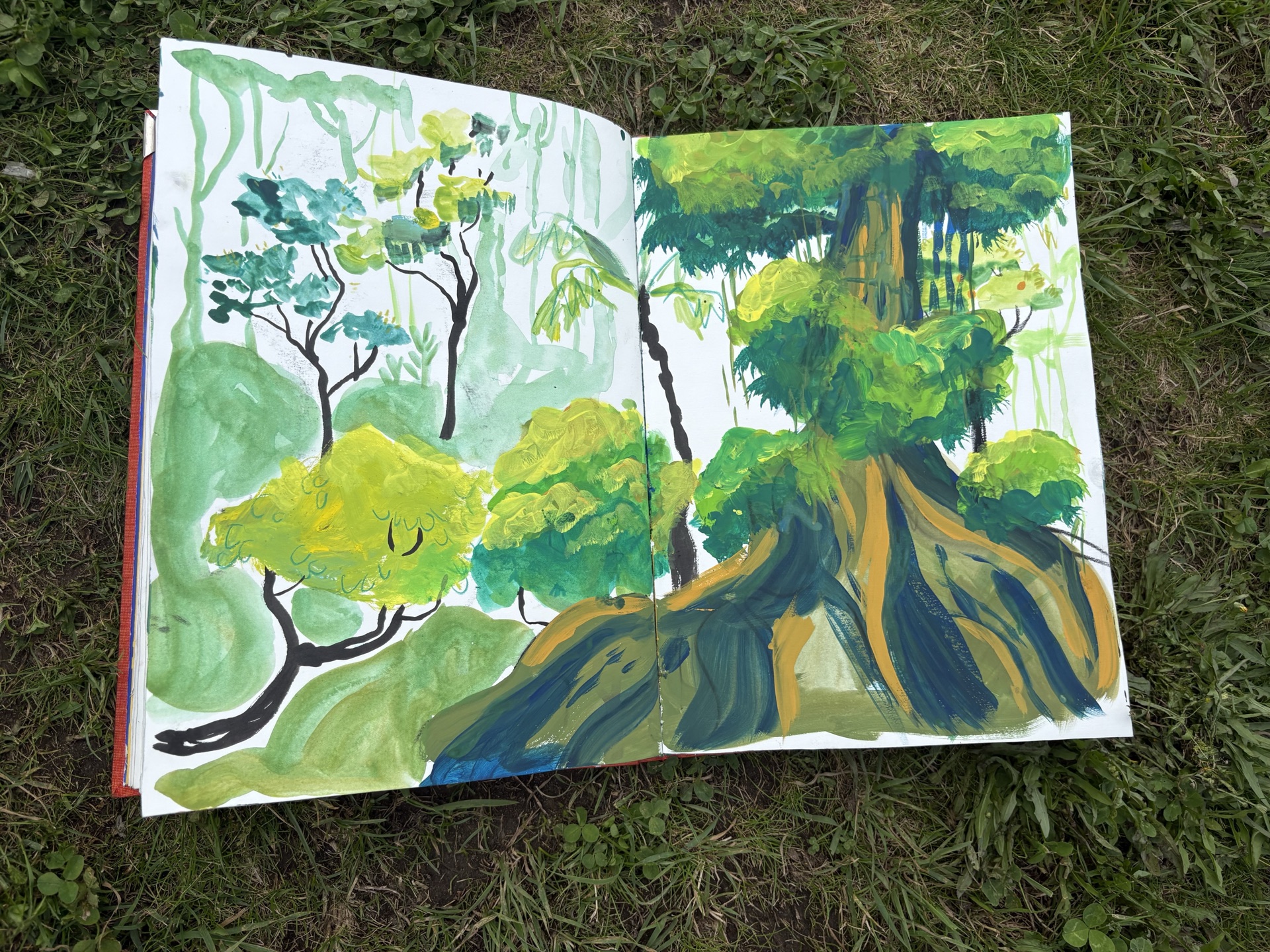 Forest sketch