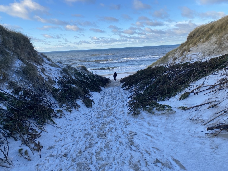 Beach photo