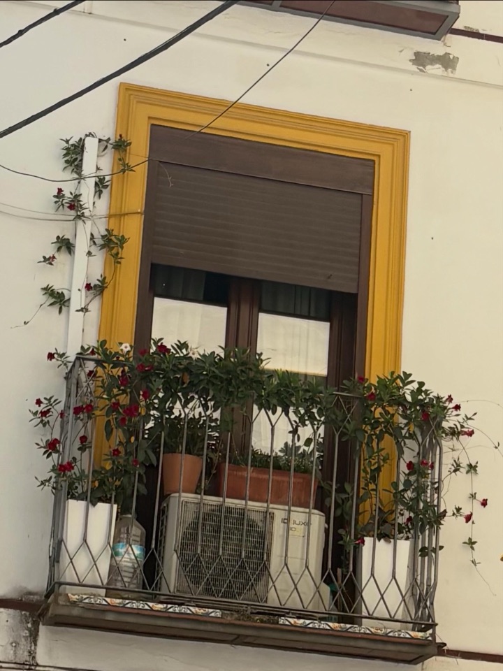 Window 2